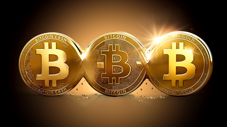 Cryptocurrency Exchange Bitcoins